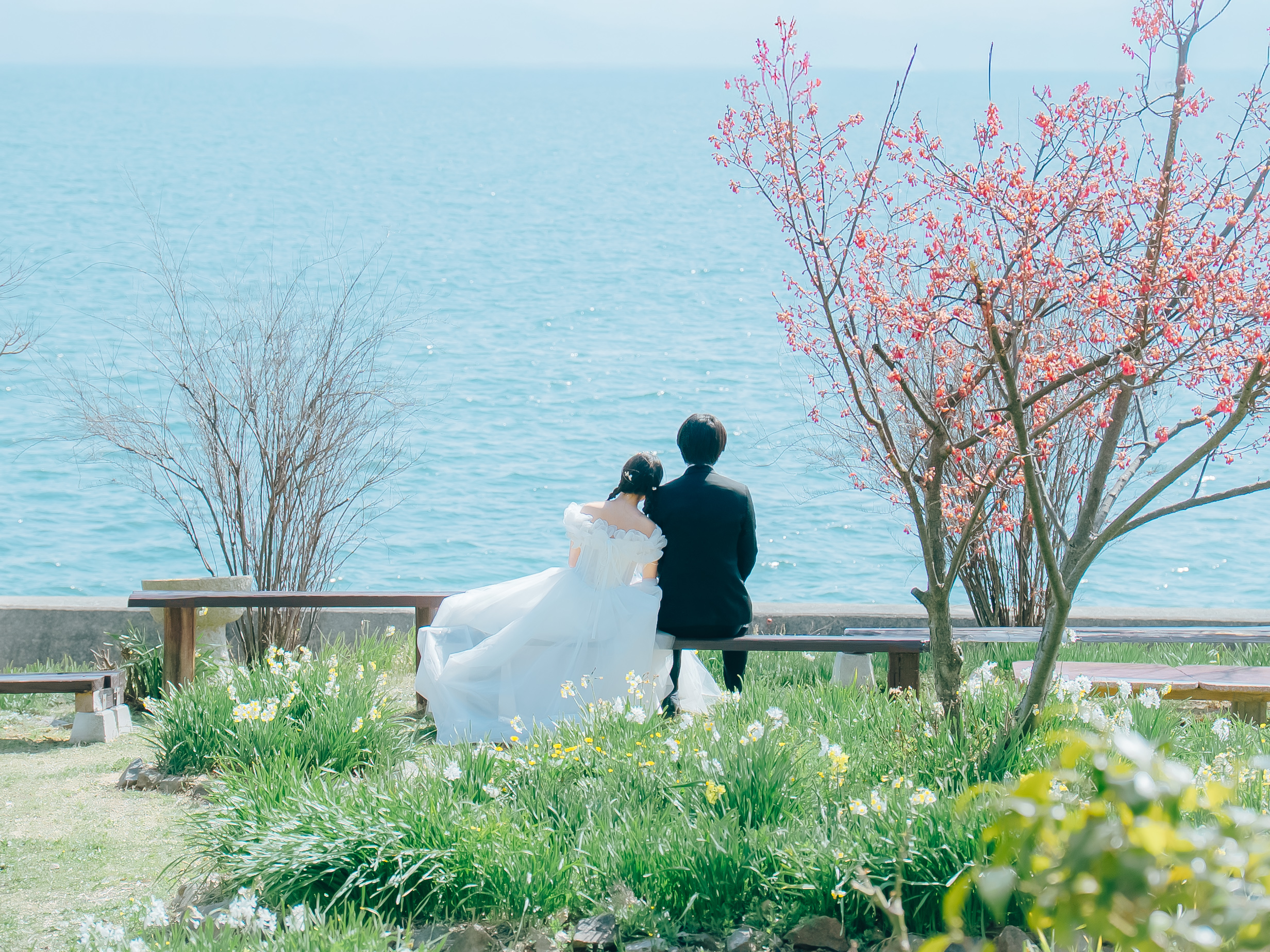 広島県｜春のウェディング撮影